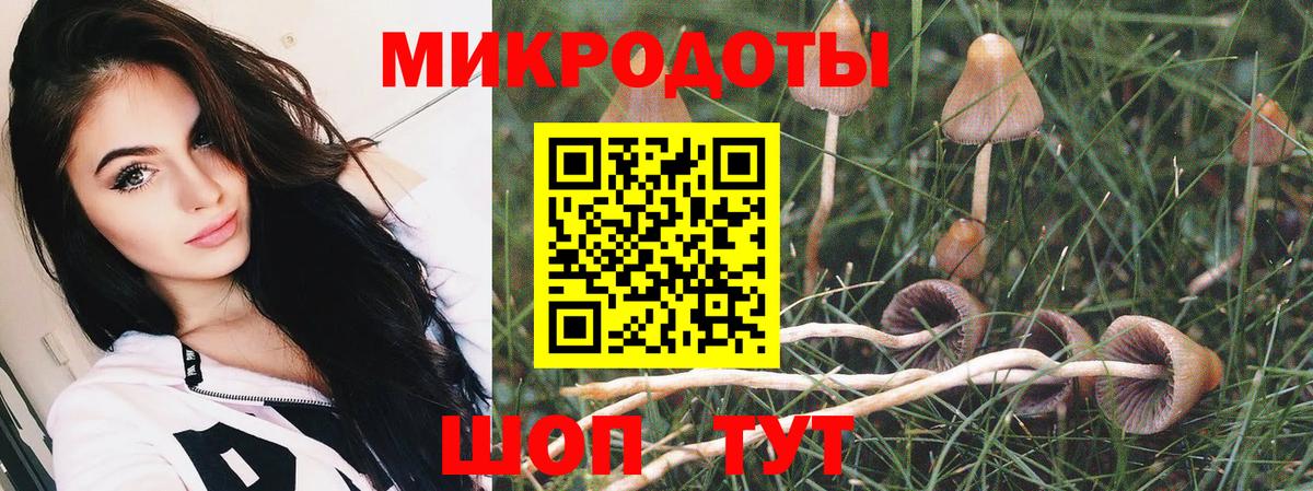 Галлюциногенные грибы Psilocybine cubensis  Вход с VPN  Кировск  Псилоцибиновые грибы Magic Shrooms 