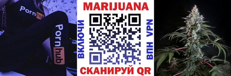 Каннабис сатива  купить   Кировск 