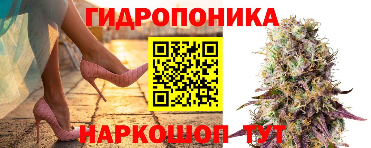 Шишки марихуана семена Кировск